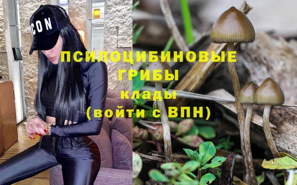 кокс Осинники
