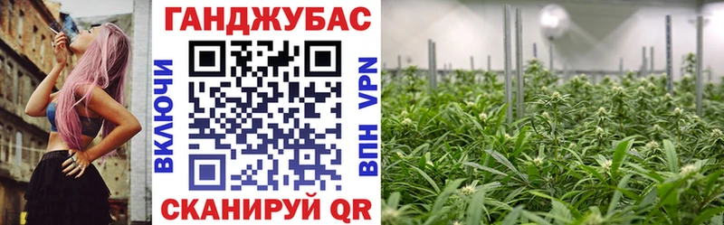 площадка как зайти наркошоп Палласовка Бошки марихуана индика